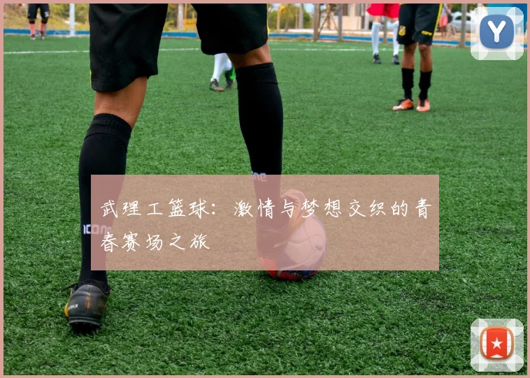 武理工篮球：激情与梦想交织的青春赛场之旅