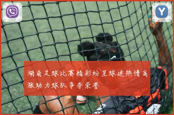 湖南足球比赛精彩纷呈球迷热情高涨助力球队争夺荣誉