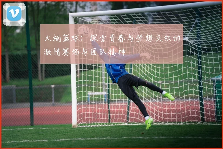 大楠篮球：探索青春与梦想交织的激情赛场与团队精神