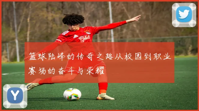 篮球陆峰的传奇之路从校园到职业赛场的奋斗与荣耀