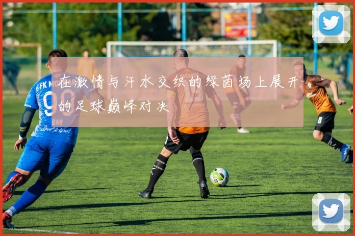 在激情与汗水交织的绿茵场上展开的足球巅峰对决