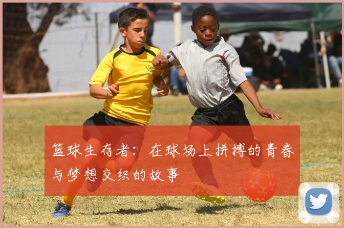 篮球生存者：在球场上拼搏的青春与梦想交织的故事