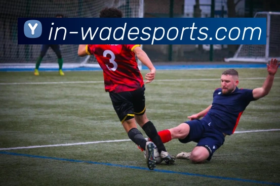 韦德体育平台生态图