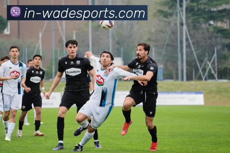 韦德体育全站App